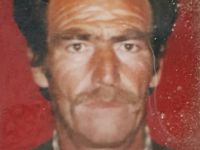 AĞAÇTAN DÜŞEN YAŞLI ADAM HAYATINI KAYBETTİ
