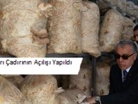 Kayın Mantarı Çadırının Açılışı Yapıldı