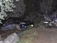 Feci kaza : 3 ölü 2 yaralı