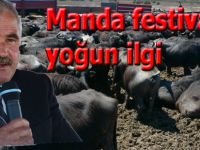 Manda festivaline yoğun ilgi