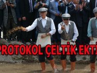 Protokol çeltik ekti