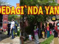 Çocuklar yangın çıkardı