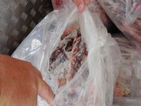 Polis 1,5 ton kokmuş et ele geçirdi