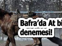 Sakın her ''Ata'' binmeyi denemeyin!