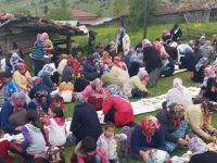 Pelit bükünde bolluk aşı