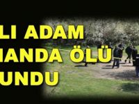 Yaşlı adam ormanda ölü bulundu
