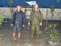 Bafra'da yağmurdan sera telef oldu