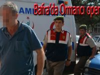 Bafra'da ormancı operasyonu