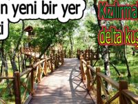 Samsun'un yeni gözdesi ''Kuş Cenneti''