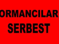 Ormancılar serbest