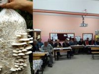 Vezirköprü'de örtü altı sebzecilik kursu sona erdi