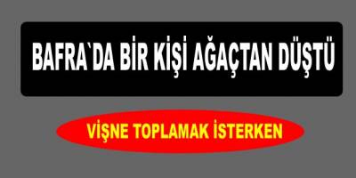 Ağaçtan düşüp yaralandı