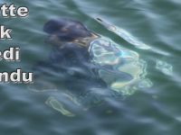 Gölette Erkek cesedi bulundu