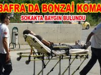 Yine bonzai