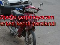 Köpeğe çarprmamak isteyen sürücü yaralandı