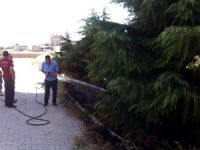 Toki konutlarında ağaçlar alev aldı