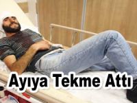 Ayıya tekme atarak kurtuldu