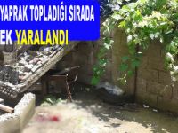 Bafra`da yaşlı kadın düşme sonucu yaralandı