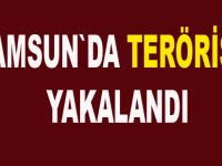 Samsun`da terörist yakalandı
