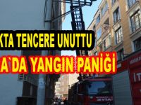 Yangın paniği