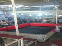 Horoz dövüşüne baskın