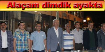 Alaçam dimdik ayakta