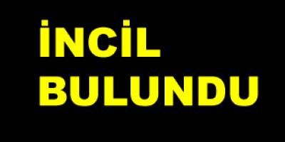 FETÖ`cülerin evinde incil bulundu
