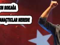 Güloğlu; 'Ağaçlar için sokağa dökülen sanatçılar nerede'