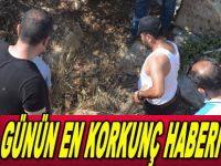 Kan donduran cinayet