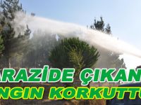 Arazide çıkan yangın korkuttu