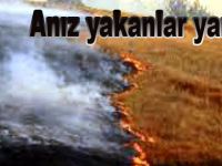 Anız yakanlar yandı