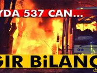 8 ayda 537 şehit