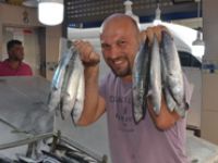 Palamutlar oltaya takıldı