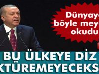 Erdoğan: 'Bu ülkeye diz çöktüremeyeceksiniz'