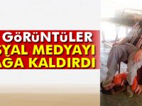 Sosyal medya ayağa kalktı