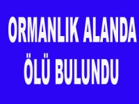 Kayıp yaşlı adam, ormanlık alanda ölü bulundu
