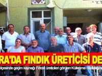 BAFRA'DA FINDIK ÜRETİCİSİ DERTLİ