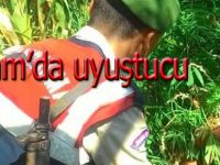 Alaçam'da uyuşturucu