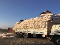 1 ton esrar ele geçirildi