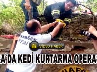 Kedi kurtarma operasyonu