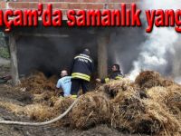 Alaçam'da samanlık kül oldu