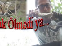 Esnaf Duydu İtfaiye Kurtadı