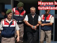 Bafra'da hayvan hırsızları tutuklandı