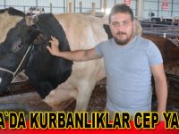 Fiyatlar cep yakıyor