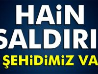 Hain saldırı: 9 şehit