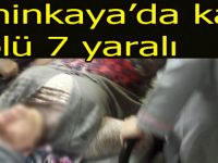Şahinkaya'da korkunç kaza 1 ölü 7 yaralı
