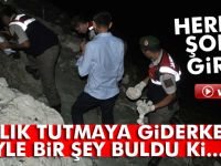İnsan kemikleri bulundu