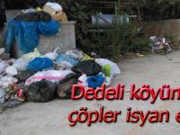 Toplanmayan çöpler çevreyi kokuya boğdu