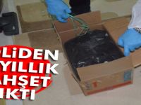 Koliden vahşet çıktı