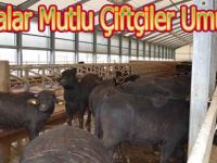 “Mandalar Mutlu Çiftçiler Umutlu”